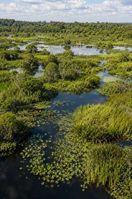 Biodiversity & Habitat Intelligence